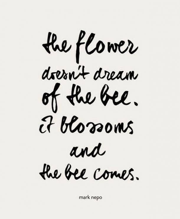 Finding Love Quotes Fair 17 Love Quotes To Keep You Sane While You're Waiting On It Yourtango Finding Love Quotes Beauteous 17 Love Quotes To Keep You Sane While You're Waiting On It Yourtango