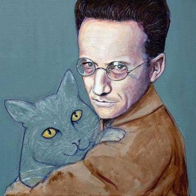 Romantic Getaways 7 Must See Destinations For Crazy Cat Couples Yourtango