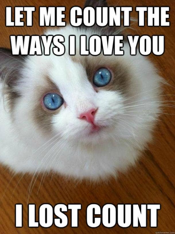 40 Cute I Love You Memes And Funny Quotes Yourtango