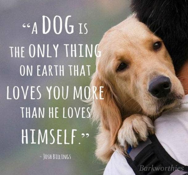 20 Quotes That Prove Dogs Are Truly Wo Man S Best Friend Yourtango