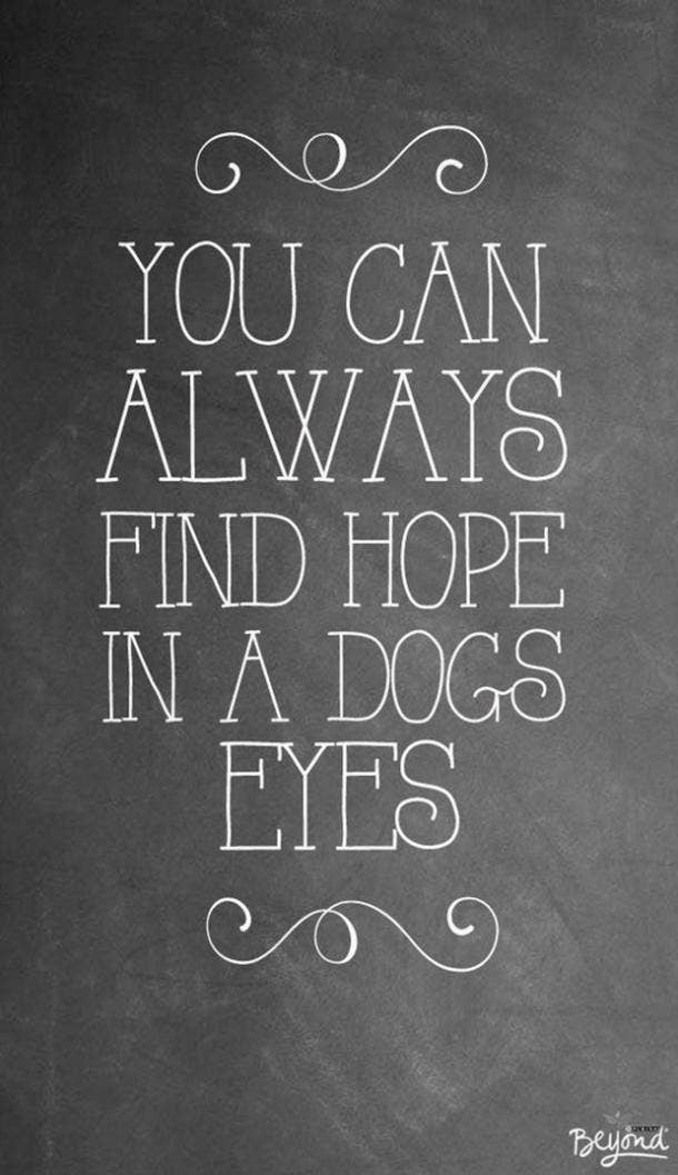 <strong>Let them be your inspiration.</strong> Dogs Are A Woman's Best Friend Quotes