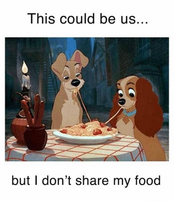 20 sarcastic funny quotes this could be us memes everyone can