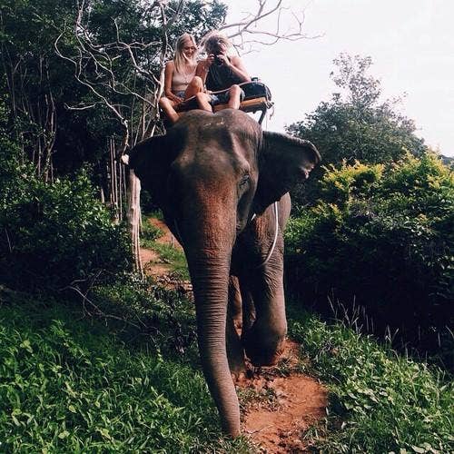 <b>8. From $10,000 to $15,000: African Safari</b>
If you really fancy yourself Karen Blixen, then an African safari is the most divine choice of all. Although most think only of Kenya when it comes to an African safari, there are so many other territories to explore.
From Laikipia Plateau, to the Shaba National Reserve, to Masai Mara, there's a place for your specific idea of love and romance. Watch <i>Out of Africa</i> to really get inspired. safari