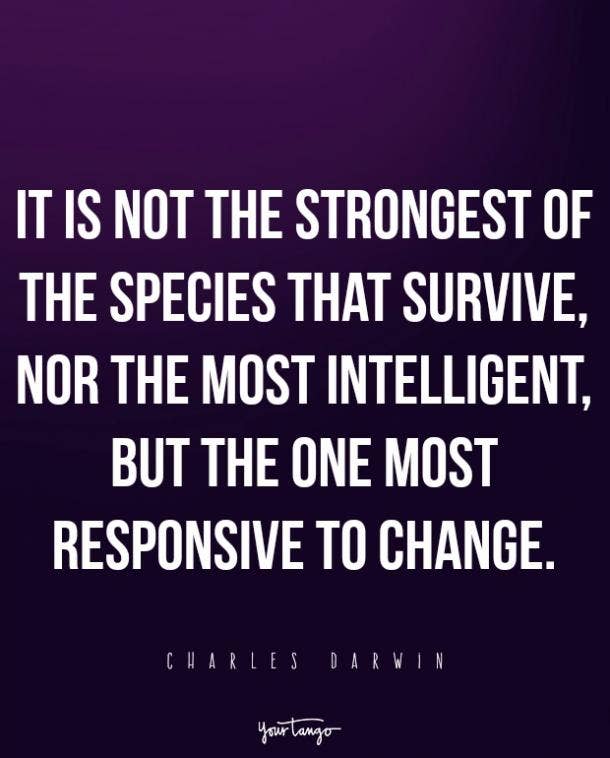 20 Motivational Quotes For People With Horrible Bosses And Crappy Jobs Yourtango The problem is, a bad attitude indicates unhappiness. horrible bosses and crappy jobs