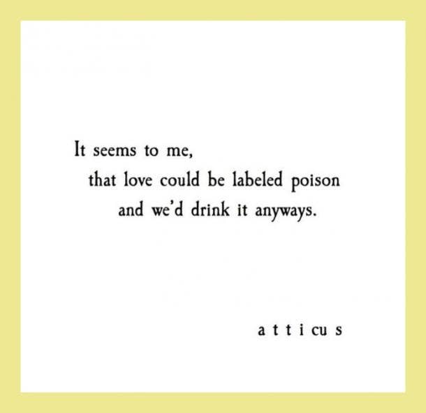  It seems to me, that love could be labeled poison and we’d drink it anyways.