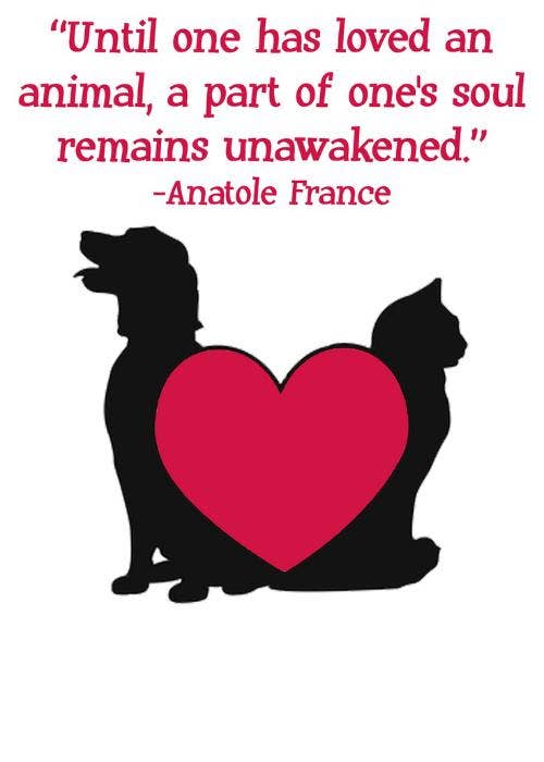 No one can understand the profound love you had for your pet until their soul is awakened by the same love <a href="https://www.facebook.com/BlackwellKing/photos/a.10150174788152636.304952.152995497635/10151291716652636/?type=3&theater ">https://www.facebook.com/BlackwellKing</a>
