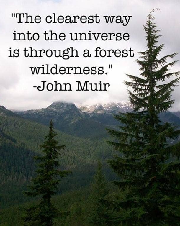 And you will make it through that forest. Life Quotes Famous Literary Quotes Bad Day