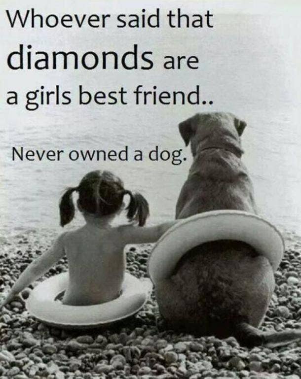 20 Quotes That Prove Dogs Are Truly Wo Man S Best Friend Yourtango