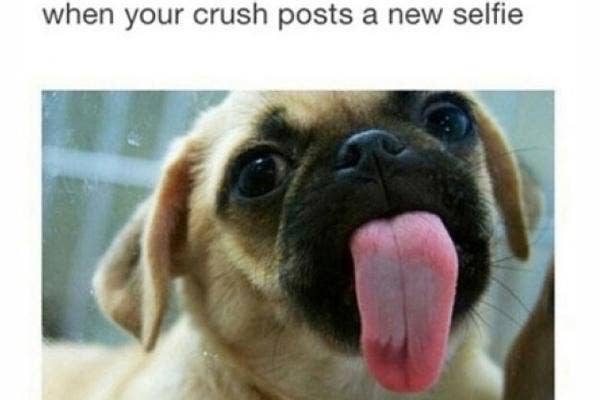 11 Funny Crush Memes That Nail What It Feels Like To Totally Obsess Over A Guy Yourtango 11 Funny Crush Memes That Nail What It Feels Like To Totally Obsess Over A Guy Yourtango