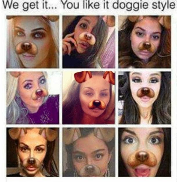 I Has A Hotdog Doctor Page 2 Funny Dog Pictures Dog Memes