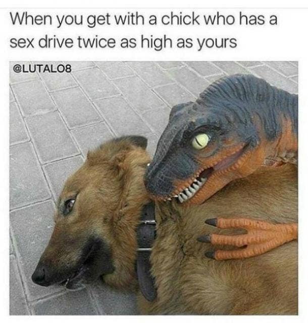 17 Sex Memes That Prove Women Love Sex Just As Much As Men Yourtango 17 Sex Memes That Prove Women Love Sex Just As Much As Men Yourtango