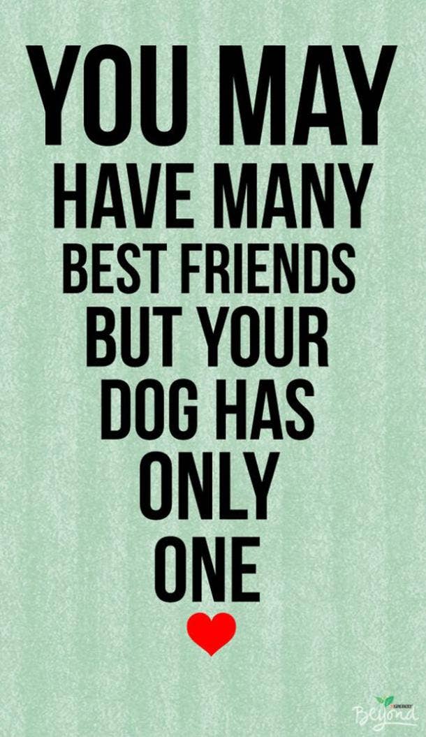 20 Quotes That Prove Dogs Are Truly Womans Best Friend Yourtango