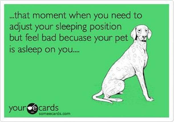 <strong>You've lost feeling in your arm, but it's ok because your dog is comfortable.</strong> Dogs Are A Woman's Best Friend Quotes