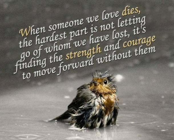 <b>Don't let your past pause your future.</b> Grief quote