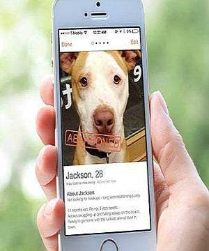 You Absolutely CAN Find True Love On Dating Apps (There IS Hope )
