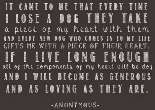 No animal can replace your own, but a new pet can fulfill another part of your heart <a href="http://www.andwhosaysyoucant.com/search?q=chalkboard+frame&x=0&y=0">http://www.andwhosaysyoucant.com</a>