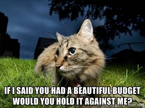 9 Cats Trying To Hit On You With Government Shutdown Pickup Lines Yourtango