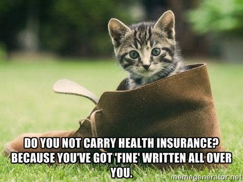 9 Cats Trying To Hit On You With Government Shutdown Pickup Lines Yourtango