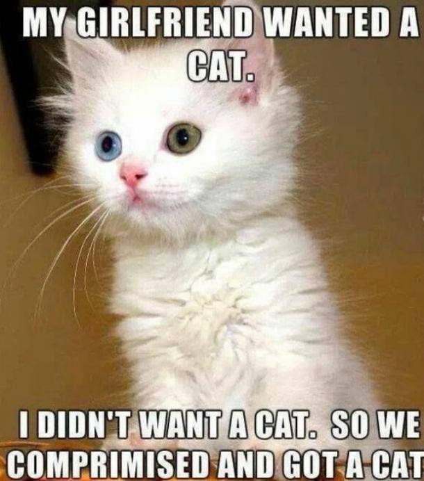 23 Relationship Memes To Get You Through Anything Together Yourtango 23 Relationship Memes To Get You Through Anything Together Yourtango