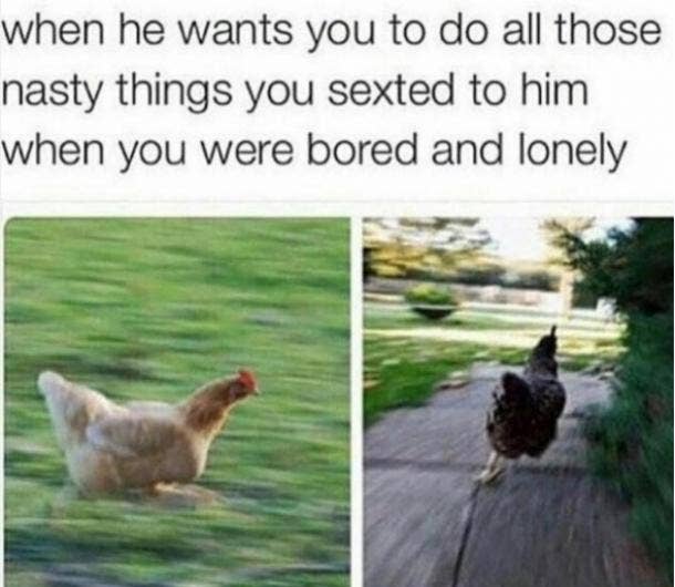 35 Hilariously Funny Sex Memes We Can T Get Enough Of