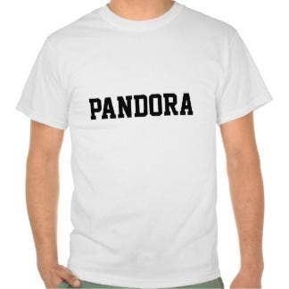 <b>Pandora = Just Don't. </b>
I once asked a date "What's your favorite band?" and he replied "I'm not sure … I like Pandora a lot" Dump immediately. Unless you want a lifetime of the missionary posish.
zazzle.com