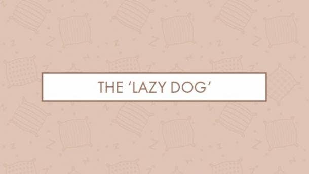 The 'lazy dog' The 'lazy dog'