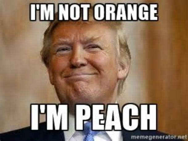Npc Meme Trump Non Presidential Character Orange Man Bad Impeach