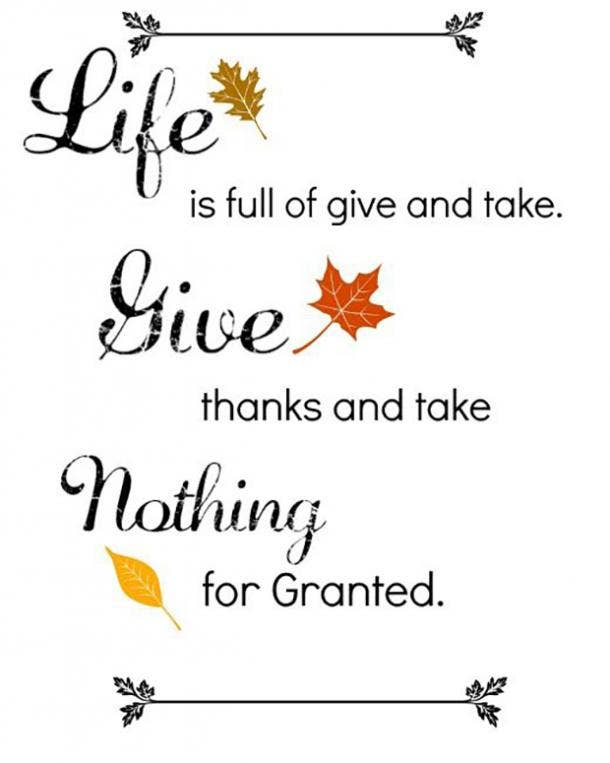 50 Best Gratitude Quotes Memes For Thanksgiving To Share When