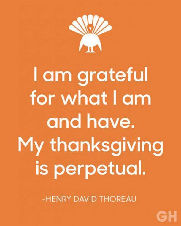 50 Best Gratitude Quotes Memes For Thanksgiving To Share When You Re Feeling Thankful Yourtango