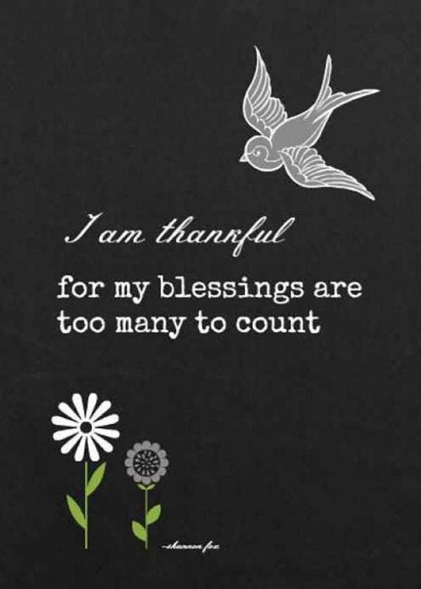 50 Best Gratitude Quotes Memes For Thanksgiving To Share When You Re Feeling Thankful Yourtango