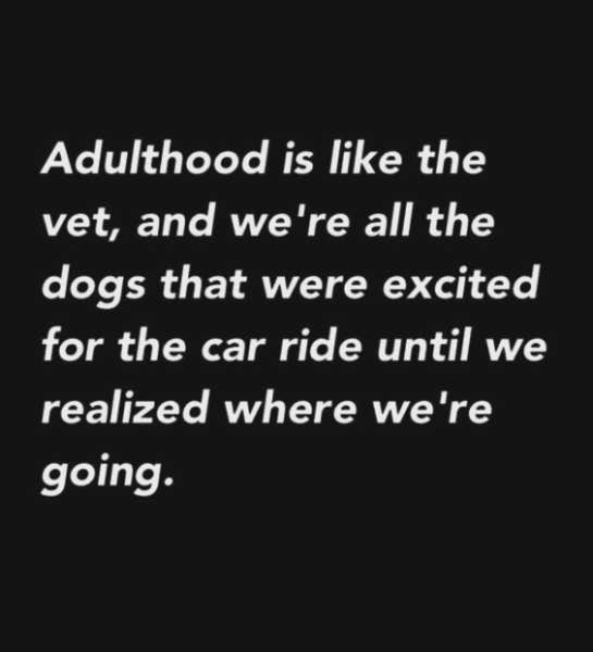 <strong>When you have more in common with your dog than you thought.</strong> funny adulting quote