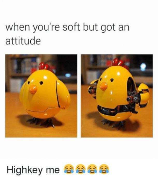 What Does Lowkey Mean Funniest Lowkey Memes Yourtango What Does Lowkey Mean Funniest Lowkey Memes Yourtango