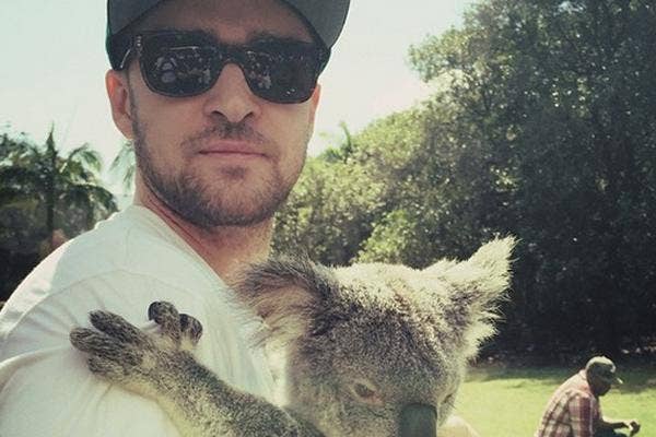 justin timberlake dad