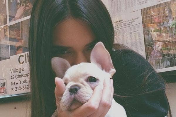 Kendall Jenner With A Dog