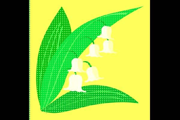 Lily Of The Valley
