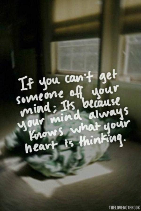 bad love advice quote