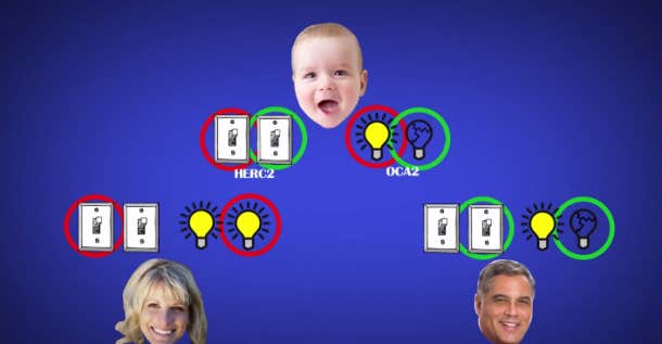 How Brown Eyed Parents Can Have Blue Eyed Kids Yourtango How Brown Eyed Parents Can Have Blue Eyed Kids Yourtango