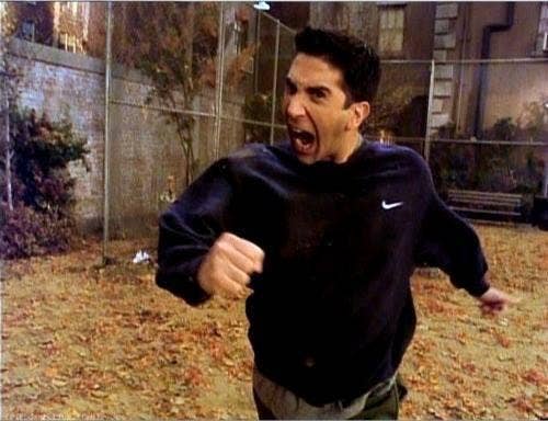 David Schwimmer as Ross