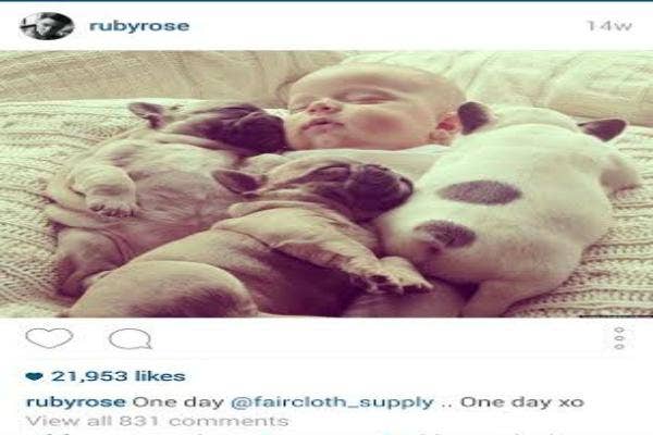 baby and puppies sleeping