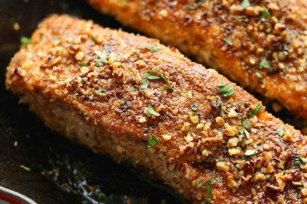 Salmon