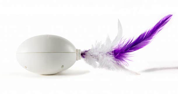 cat toy or sex toy