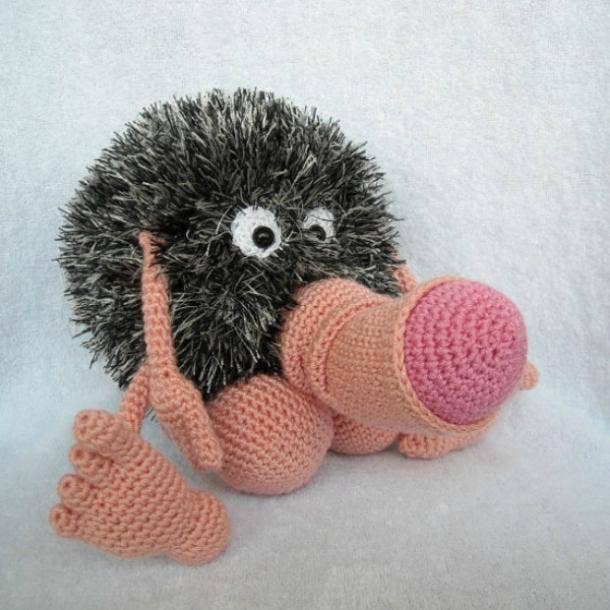 penis