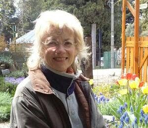 Profile picture for user SILVIA HORVATH