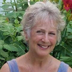 Profile picture for user linda schiller