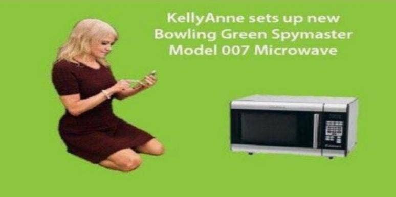 Kellyanne Conway S Inauguration Coat Starts A Meme Revolution