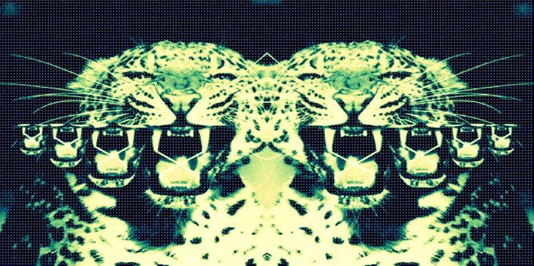 Animalistic Sex Is The Best Sex Animalistic Sex Is The Best Sex