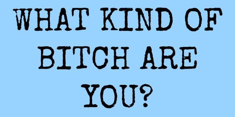 what kind of bitch are you what kind of bitch are you