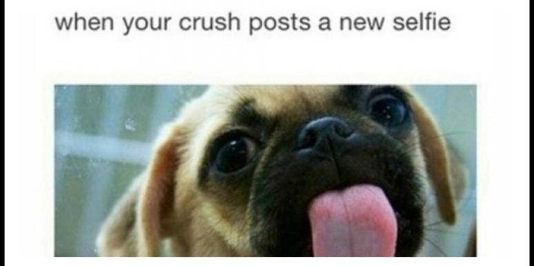 11 Funny Crush Memes That Nail What It Feels Like To Totally Obsess Over A Guy Yourtango 11 Funny Crush Memes That Nail What It Feels Like To Totally Obsess Over A Guy Yourtango