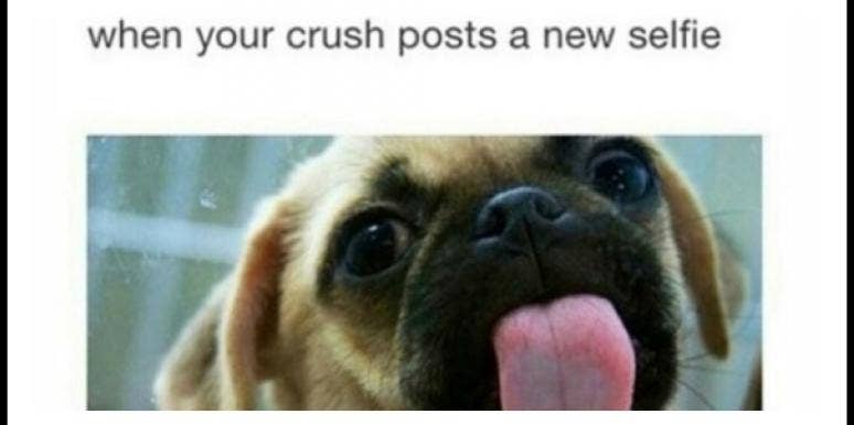 11 Funny Crush Memes That Nail What It Feels Like To Totally Obsess Over A Guy Yourtango