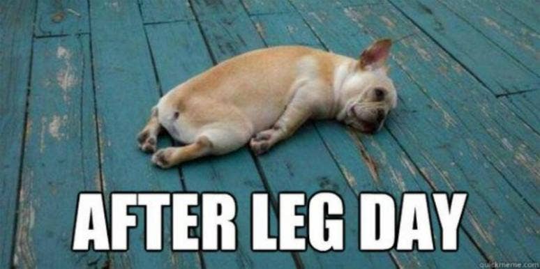 Image result for leg day